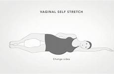 vaginal stretch