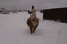cowgirl snow tenor