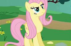 fluttershy pony yay character giphy grita