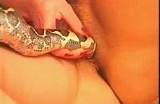 snake sexy python games sluts enjoying paddled nasty looking zoo videos zootube1