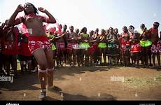 zulu reed dance enyokeni nongoma south palace africa alamy shopping cart