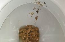 shit toilet huge mushy poop nice got own had friends place after earlier ive just comments reddit