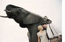 safari sex elephants popsugar african south wedding