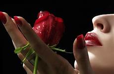 rose lips red wallpapers