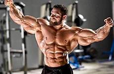 shredded physique bodybuilding hoffmann