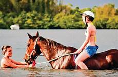 beach horses riding horseback bradenton trips florida mustdo sarasota do activities day horse palma marco island must myers fort visitor