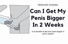 penis bigger