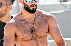 hairy male hunks chest men muscle bearded guy handsome chested beefy