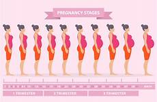 pregnancy week symptoms changes body during trimester change first do chart pregnant woman breasts baby physical weeks stages when after