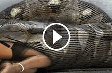 eats snake girl alive video python india giant man amazing