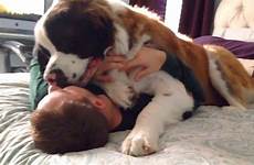 pleasures dog people barkpost understand simple only curl tongues dogs way re they when