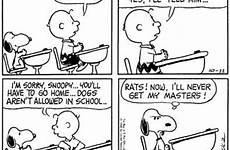 snoopy peanuts comics school brown charlie cartoon comic strip choose board funny