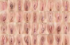 different vagina types shapes vulva sizes vigina lips vaginas collage naked pussy female shape men lip viginas vjj sex sexinfo