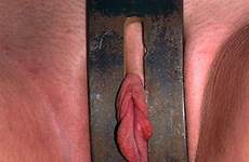 chastity bondage insex
