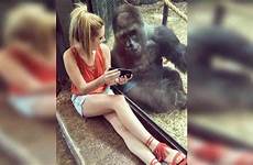 gorillas baby gorilla zoo videos louisville costello lindsey her captivated enjoying friend