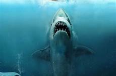 megalodon sharks jaws horrorfilme kraken filmplakate großer segelschiffe unterwasser majestätische zeichnungen weißer godzilla sightings jurassic jaw