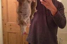 rats poison terrify menacing pest whelan