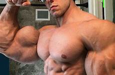 muscles bicep muscular bulging flexing arms bodybuilders worship massive