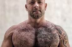 scruffy pelosi uomini hunks orsi bearded muscle chested beefy