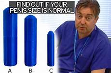 penis size ideal women inches perfect study length surprised want pleasantly reveals might bedroom loading