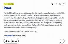 furries flakes frosted blocked bunch twitter now penis dog urban dictionary freaking re they
