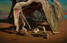 pterosaur eggs pterosaurs flightless young finds involving unusual studies listverse china science