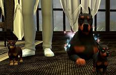 bestiality mod pets sex loverslab sims woohoo alfa agra rl mostly dobermanns lovely too funny so