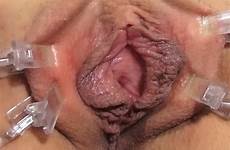 smutty labia experiment