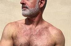 hairy men hot sexy chest man chested male handsome over grey daddy bear tumblr