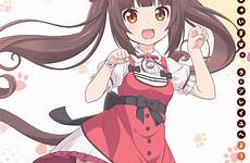 chocola neko para nekopara anime official visual yuuichi hirano felix key film zerochan 日本語