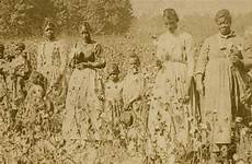 plantation slavery capitalism cotton 1619 trace enslaved field times episode 1860s