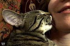 human kitten kisses licks