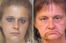 cocaine meth addicts drug morphing transformations arrest possession mugshot toll shocking drugabuse