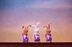 bunnies sing wikia wiki gif physical information