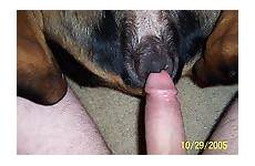 man zoophile his doggy pleases nastiest lovely way zoo tube ago years
