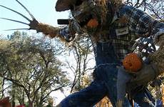 crow scary scarecrow monster tall