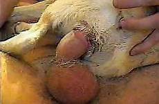 man animals dog videos zoo small cute cowgirl tube bangs pose dirty