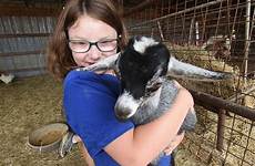 petting zoo goats boger goat oats comes baby july lowell animals