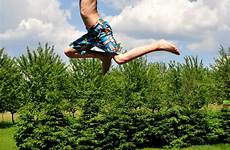 trampolin trampolino paesaggio kesenangan fisik jumping wakeboarding saltare fisico melompat physical kolam olahraga danau luang latihan berenang musim renang ekstrim