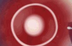 impregnation sperm cells egg tenor