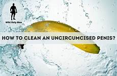 uncircumcised organ penises