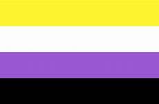 pride non binary flag flags gender female sexuality lesbian people identity does