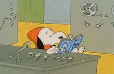 gif peanuts reading charlie brown snoopy elected gifs giphy youre everything has