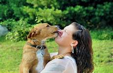 dog licked her getting lick young woman licking adult puppy dogs face why kibble pets amazing them girl pet feeding