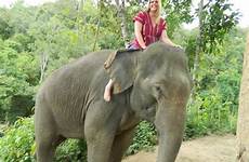 sexy elephant elephants women barefoot bareback riding frau woman barfuß auf jungle sattel ohne dschungel im elefanten elefant reitet einem
