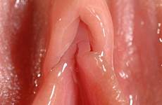 pussy wet pink nsfw smutty clitoris zoom grool closeup