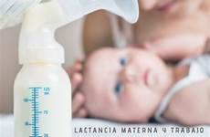 lactancia materna embarazados
