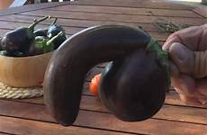 eggplant food penis emoji shaped real auctioning glad just me life literally mildly nsfw took bit too items trademe re