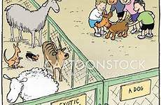 zoo petting animal exotic zoos cartoon cartoons funny comics animals dog cartoonstock pet dislike illustration