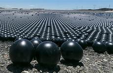 balls reservoir la ball shade potential experts disaster rollout say making warn foxnews